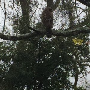 Meet your Posher, Marcos